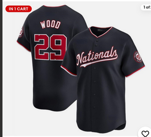 Youth Washington Nationals #29 James Wood Nike blue Nike Limited jersey